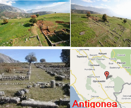 Antigonea